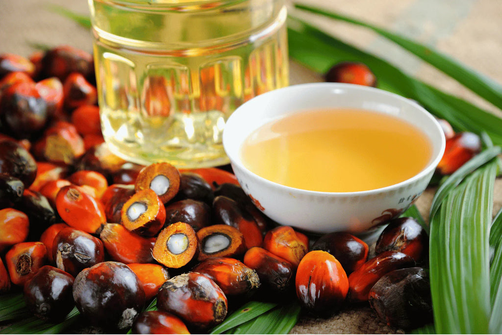 Batana Oil: The Ultimate Beauty Elixir for Hair and Skin