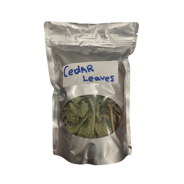 Cedar Leaves