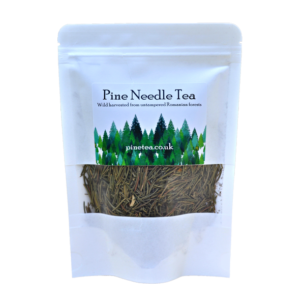 Organic Pine Needle Tea Forever Natural Remedies